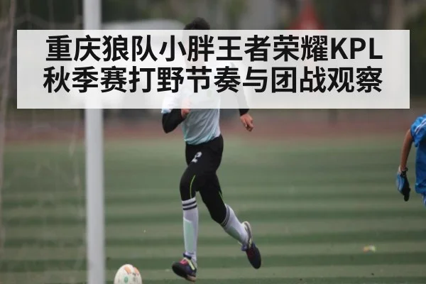 重庆狼队小胖王者荣耀KPL秋季赛打野节奏与团战观察